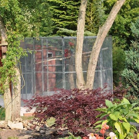 The Willows Bed & Breakfast York Eksteriør bilde