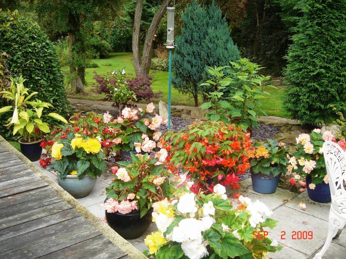 The Willows Bed & Breakfast York Eksteriør bilde