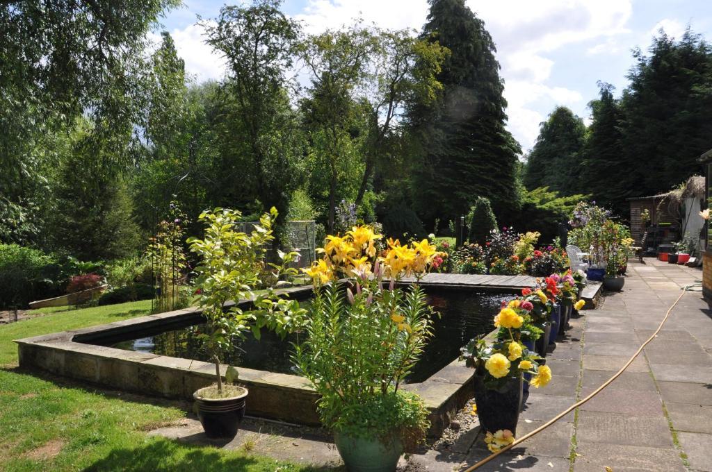 The Willows Bed & Breakfast York Eksteriør bilde